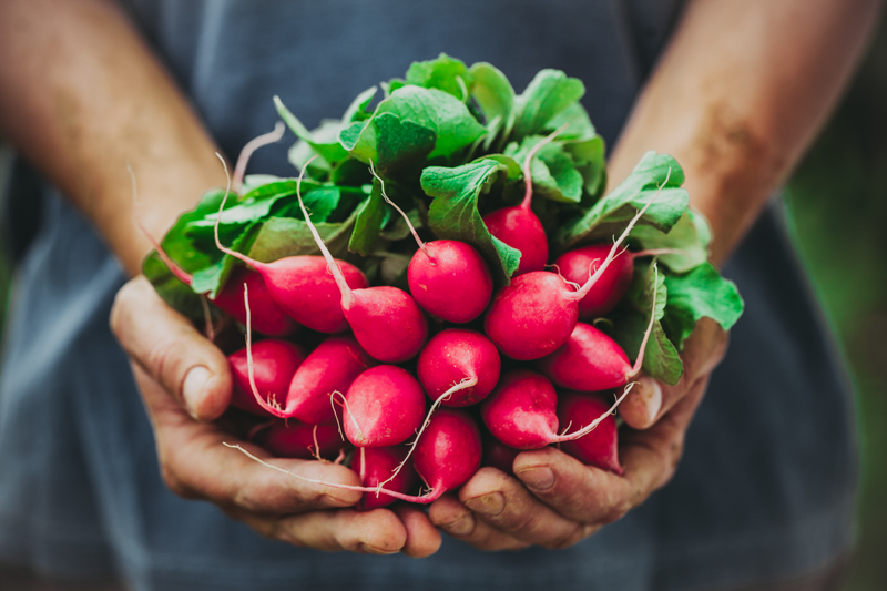 Man holding beets